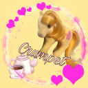 poni-paradise avatar