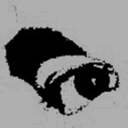 pontassoltas-pontassoltas avatar