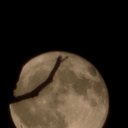 pontiacman123 avatar