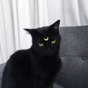 pony-on-a-rainbow-blog avatar