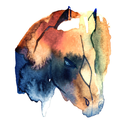 ponydanceclyde-blog-blog-blog avatar