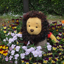 poohparty-blog avatar