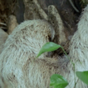 pookapea-blog avatar