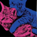 pookiebearhoneybunch avatar