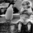 pools-of-sorrow-waves-of-joy avatar