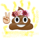 poopglitter avatar