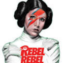 poopsiekitten avatar