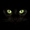 poorthackerybinx avatar