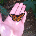 pop-cult-ture avatar