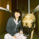 popcarn-blog-blog avatar