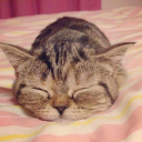 popefrankieboy avatar