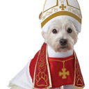 popeofdogs avatar