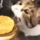 popkinsssussy avatar