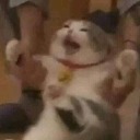 popopettapopopetti avatar