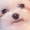 popotan-forever avatar