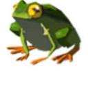 poppedbubblgum avatar