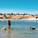 poppunkandpuppies avatar