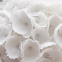 poppylanetoronto-blog avatar