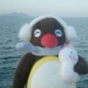 poppyseedpennies avatar