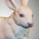 porcelain-rabbit avatar