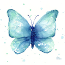 porcelainbluewing avatar