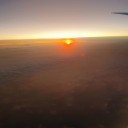 porcupinecone avatar