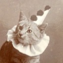 porkusmalorkus avatar