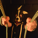 poropuppy-blog avatar