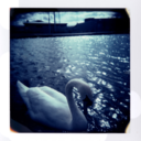 porporea-blog avatar