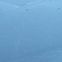 portrettenengezichten avatar