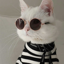 posh-isolation avatar