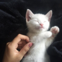 positive-though avatar