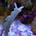 positive-vibrations-of-the-soul avatar