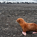 positiveandpositive avatar