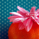 positively-mindful avatar