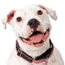 positivepitties avatar