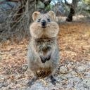 positivesunshine123 avatar