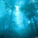 positivity-and-stability avatar