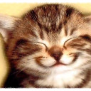 positivity-cats avatar