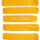 positivityinprogress avatar