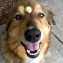 positivitywaves avatar