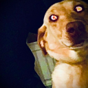 possesseddog avatar