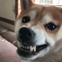 possibilitatem avatar