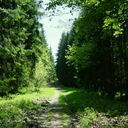 possibilitydream-blog avatar