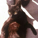 possibilityofeverything avatar