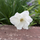 possiblecertainty avatar