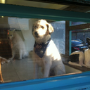 possibleinfluence avatar