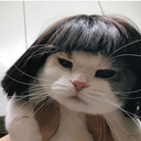 possibly-a-human avatar