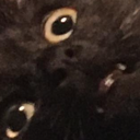 possibly-an-ace avatar