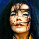 possibly-bjork-blog-blog avatar